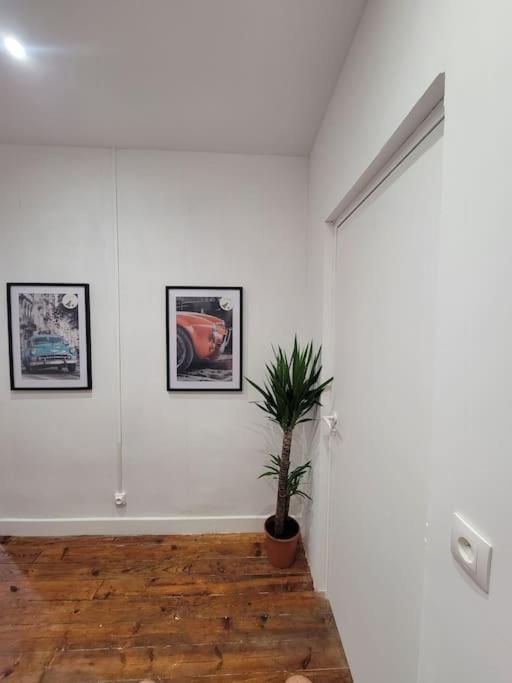 Appartement De Charme Avec Tomettes Et Parquet Graulhet Luaran gambar